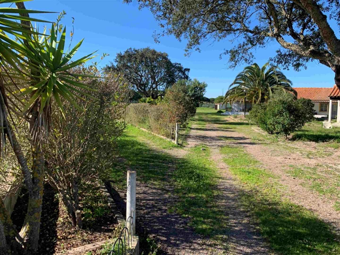 Developable Land, 39,750 Sqm, Em Sao Luis, Odemira, Beja, Portugal