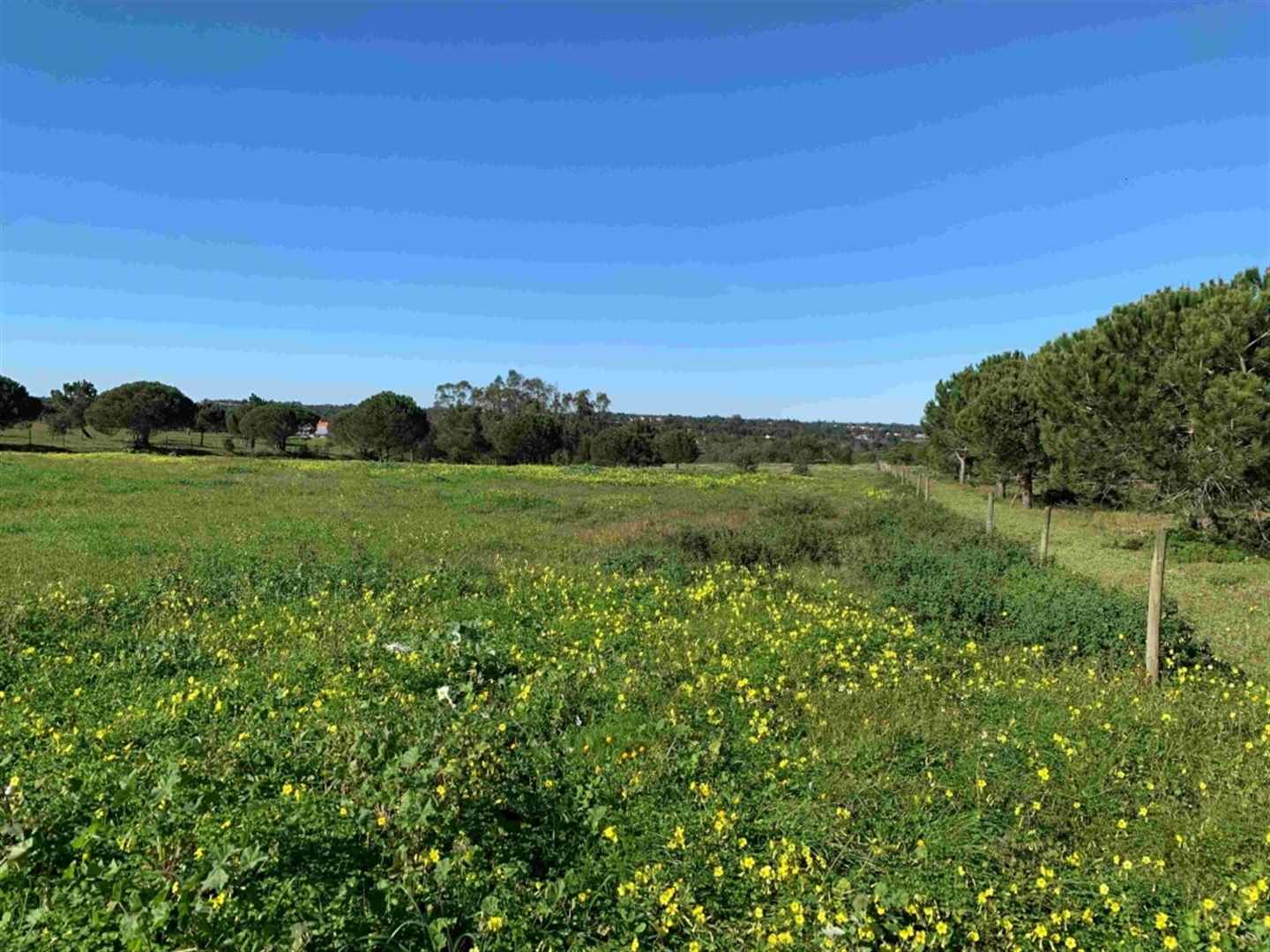 Developable Land, 39,750 Sqm, Em Sao Luis, Odemira, Beja, Portugal