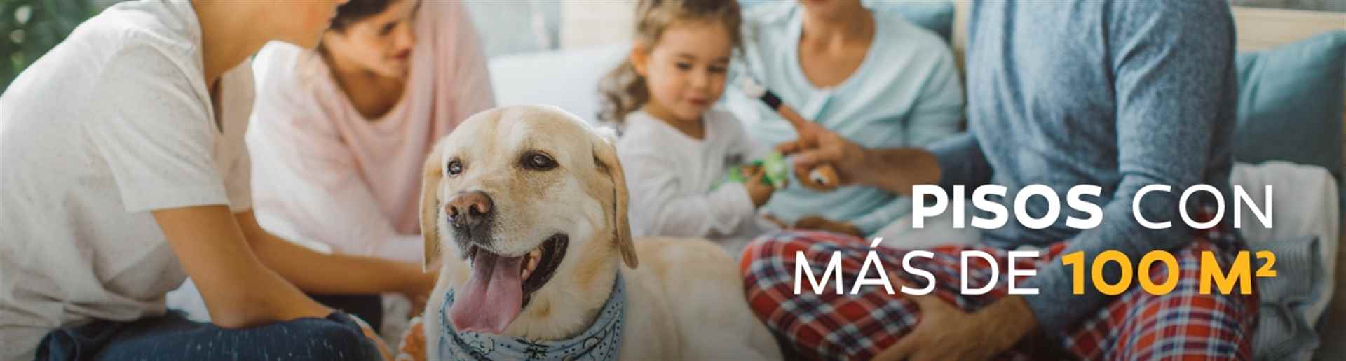 Flats with more than 100 m²