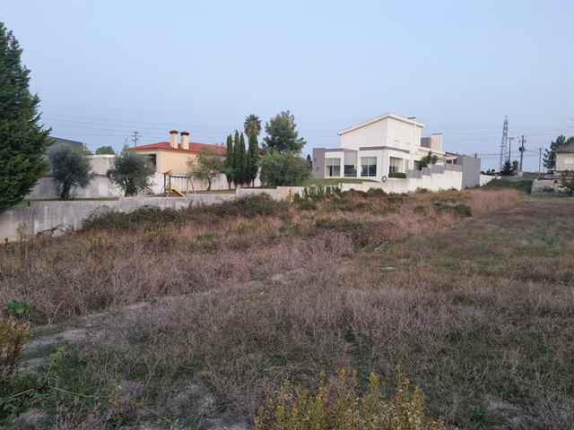 Agricultural land, Leiria - 409819