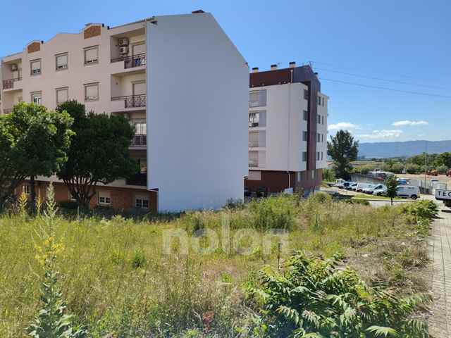 Developable Land, Covilha - 637441