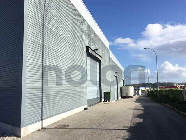 Warehouse, Sintra - 110068
