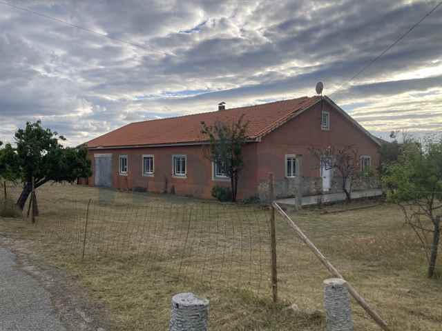 Detached House, Figueira de Castelo Rodrigo - 483689