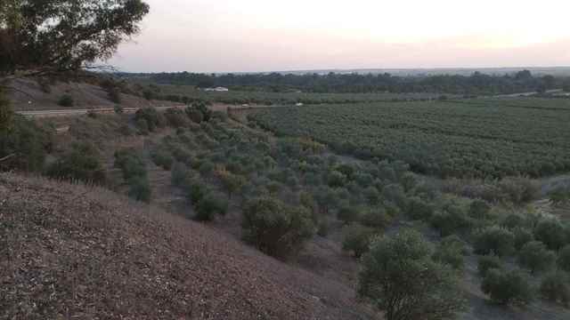 Agricultural land, Sevilla - 159640