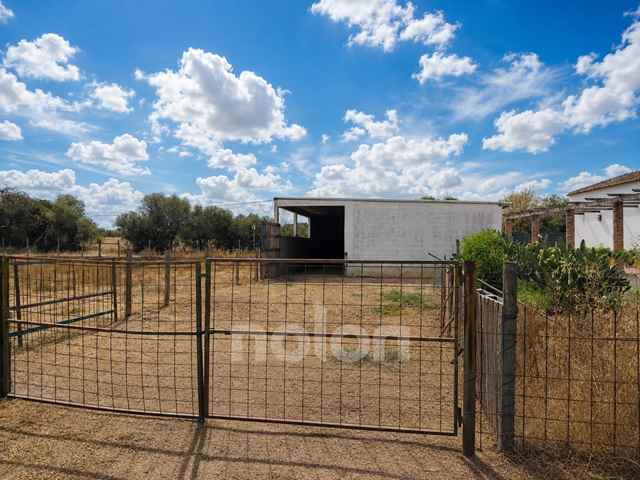 Estates and Farms, Evora - 660735