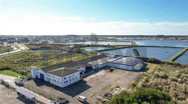 Factory, Ilhavo - 153249