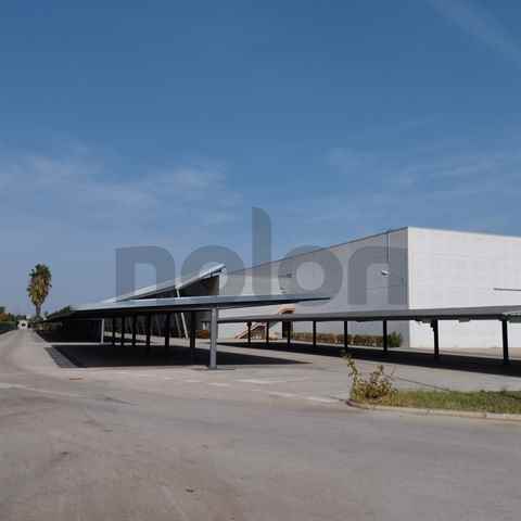 Warehouse, Sevilla - 219637