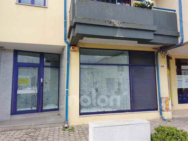 Local, Aveiro - 616526