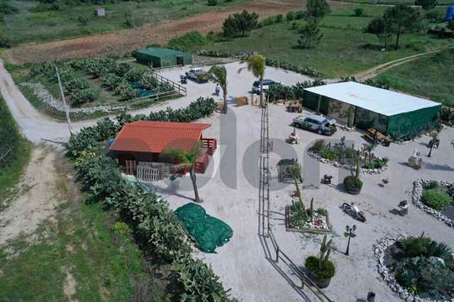 Agricultural land, Sesimbra - 396180