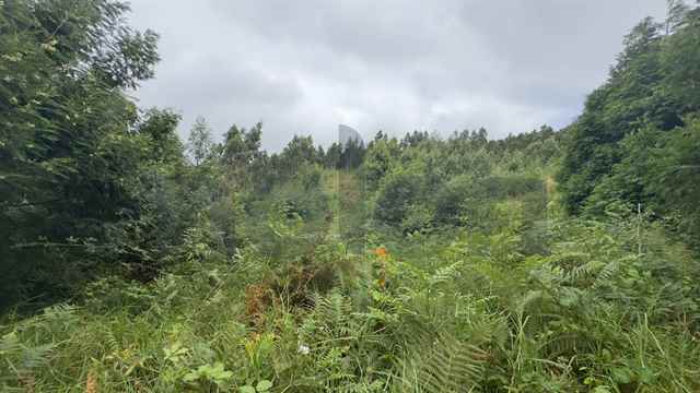 Agricultural land, Machico - 483728
