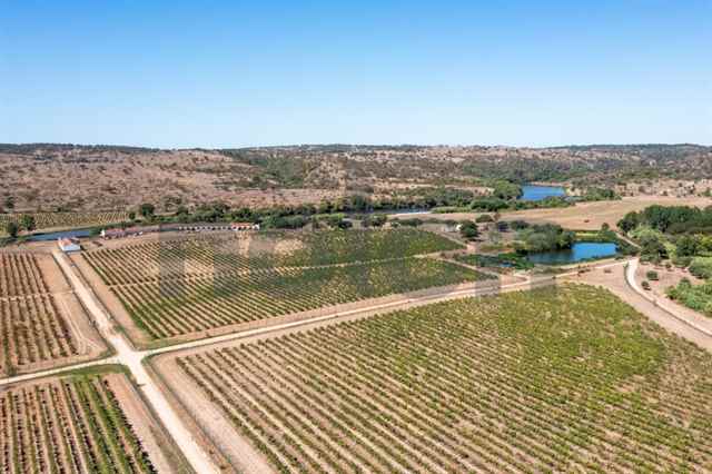 Estates and Farms, Mora - 149978