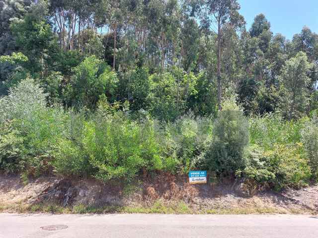 Agricultural land, Vila Nova de Gaia - 605569