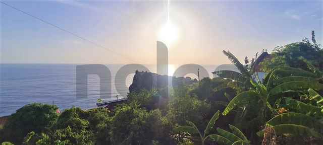 Agricultural land, Ribeira Brava - 404873