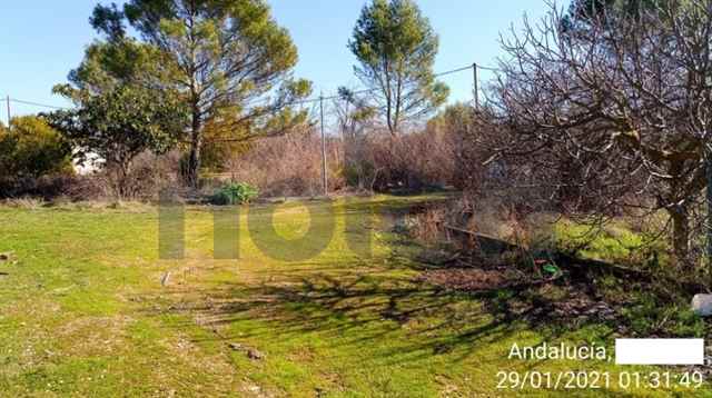 Agricultural land, Jaen - 182754