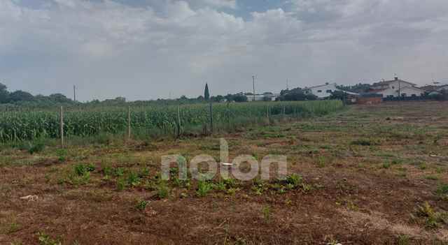 Terreno rústico, Oliveira do Bairro - 606976