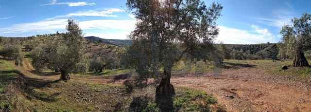 Agricultural land, Cordoba - 183614