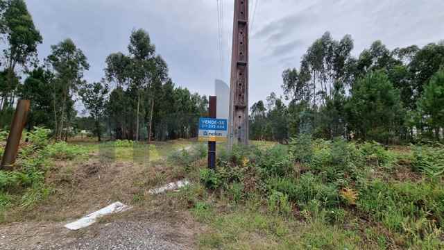 Agricultural land, Marinha Grande - 483680