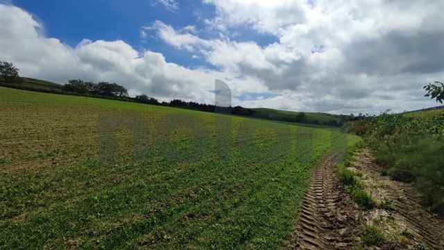 Agricultural land, Ribeira Grande - 483692