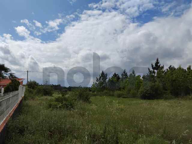 Terreno urbano, Anadia - 593892