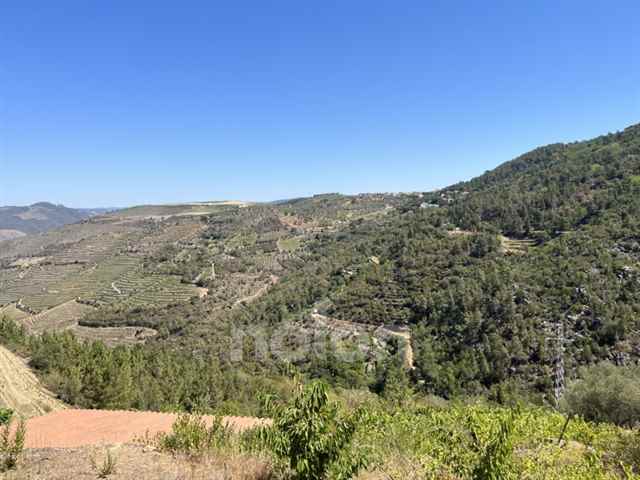 Fincas Rusticas, Armamar - 600240