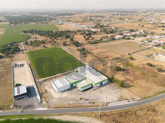 Warehouse, Salvaterra de Magos - 481675