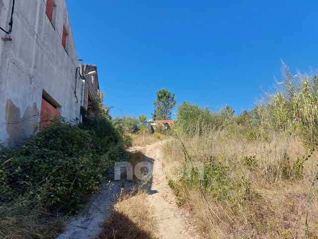 Terreno urbano, Coimbra - 659813