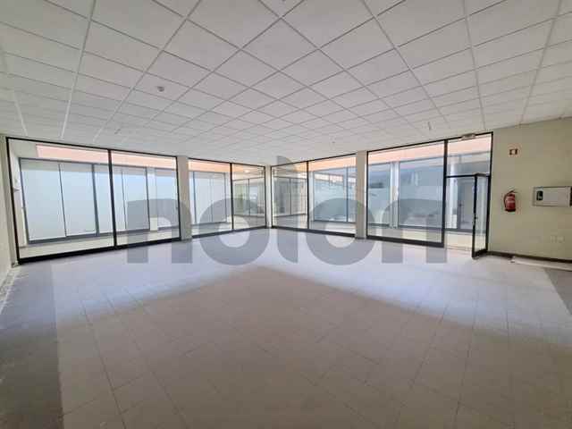 Local, Albergaria-A-Velha - 600559