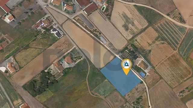 Terreno Rústico, Torres Vedras - 380367