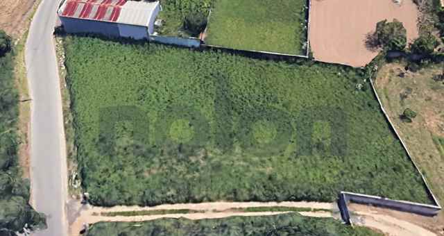 Agricultural land, Vila Nova de Gaia - 605496