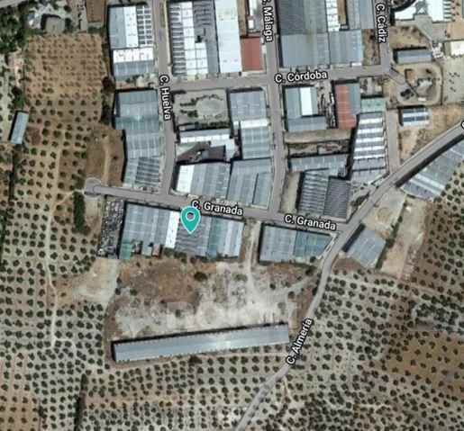 Warehouse, Jaen - 213547